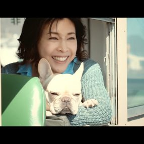 「キヤノン EOS Kiss M」のテレビCMで竹内結子さんが草彅剛さんの愛犬クルミちゃんと共演