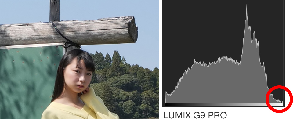 LUMIX G9 PRO vs. LUMIX GH5