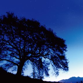 【星景の撮り方②】星空を撮影する時の構図の選択方法