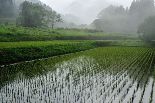 雨の日&雨上がりの撮影テクニック9選! どんな天気でも撮影日和になる | CAPA CAMERA WEB
