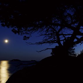 月景撮影の極意は情景を取り入れること！“中秋の名月”のフォトジェニックな一枚を撮る方法