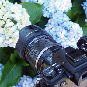 ボケと解像力を両立した準広角レンズ「オリンパス 17mm F1.2 PRO」で花風景を高品位に描く