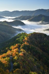 おにゅう峠から雲海と紅葉が輝く瞬間を狙う | CAPA CAMERA WEB