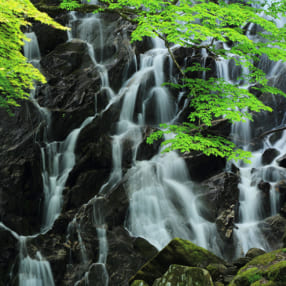 水の清涼感を引き出して夏らしい写真を撮るには？ “滝・渓流”の撮影テクニック