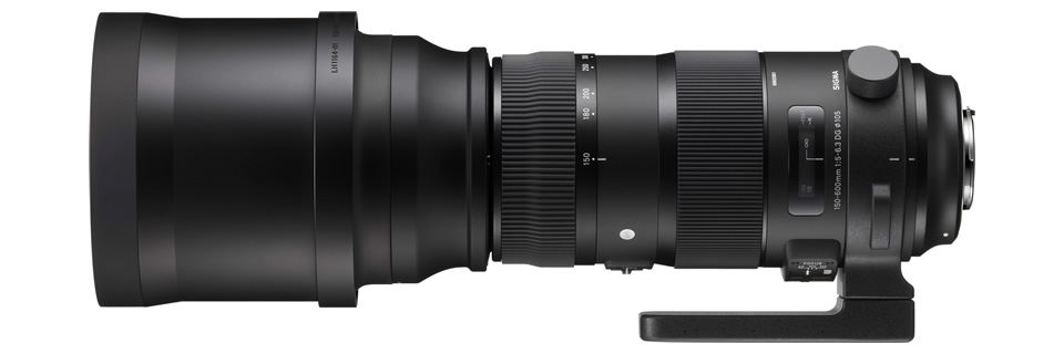 SIGMA 150-600mm F5-6.3 DG OS HSM | Sports