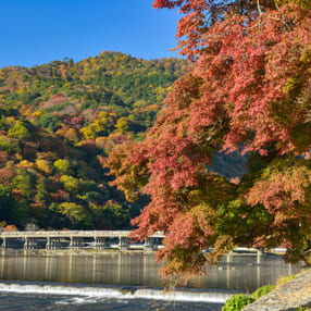 近畿地方のおすすめ「紅葉」撮影スポット6選! 京都をはじめ名所がたくさん