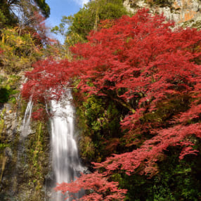 大自然を感じる「紅葉と滝」の絶景スポットまとめ――紅葉と流れ落ちる滝のコラボが圧巻！