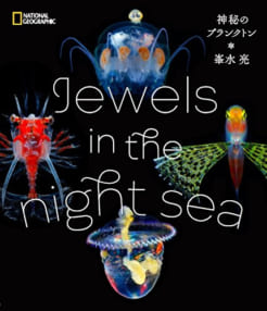 Jewels in the night sea