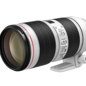 ヨドバシカメラ売れ筋ベストテン  「デジタル一眼カメラ用交換レンズ」10月上旬ランキング