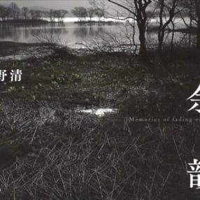 森の深さと闇の存在に惹き付けられる 辰野清写真集『余韻』