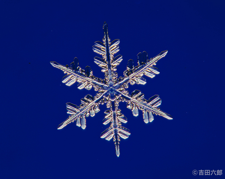 吉田六郎写真展「雪の結晶」
