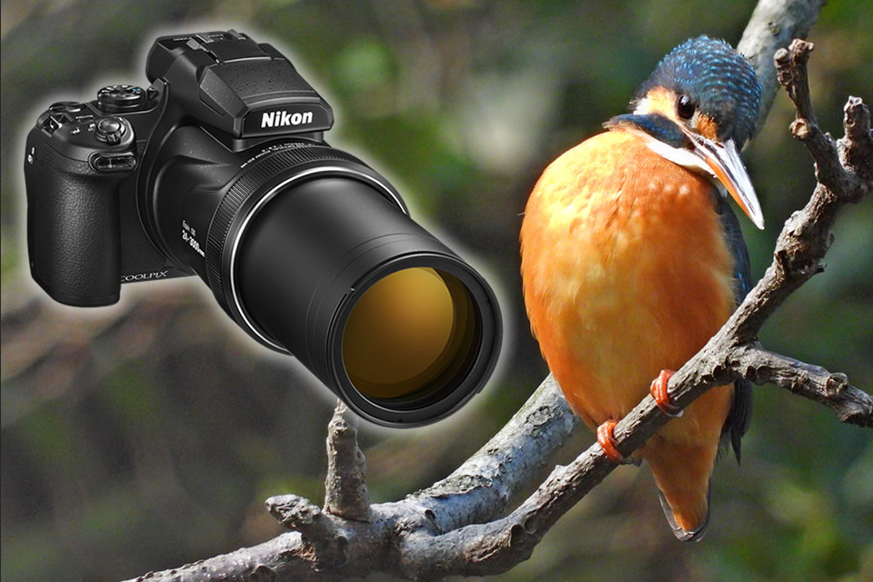 美品＞Nikon COOLPIX P1100｜超望遠3000mm相当×4K動画対応｜高