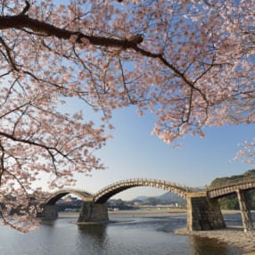 雄大な自然を満喫できる！ プロが選んだ中国・四国・九州の桜撮影スポット7選