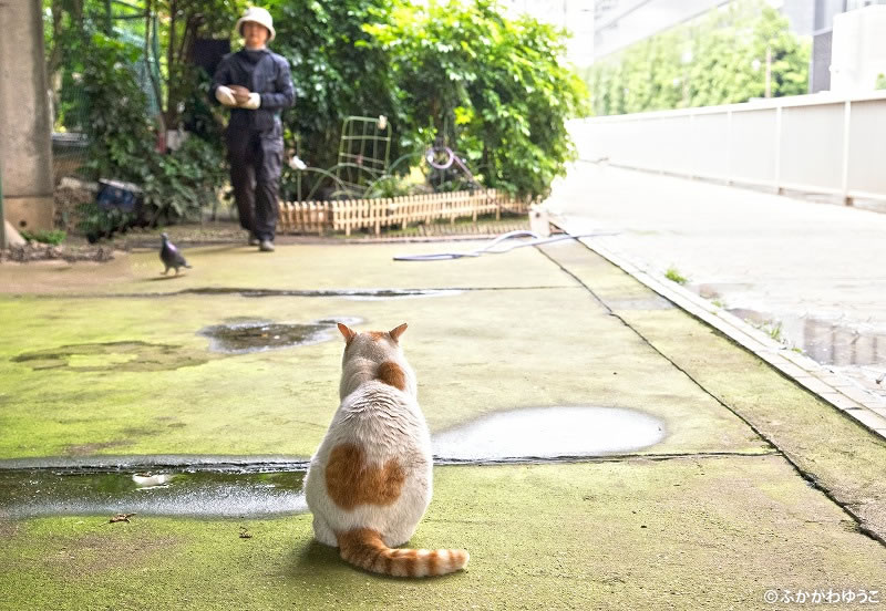 「東京猫色」写真展