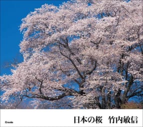 竹内敏信『日本の桜』
