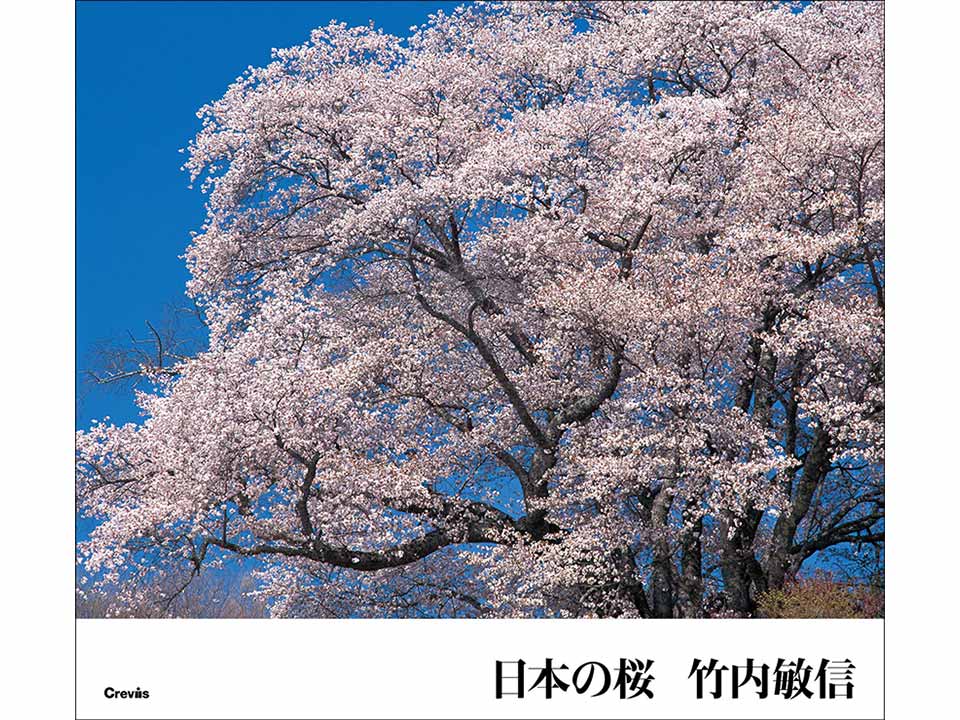 竹内敏信『日本の桜』