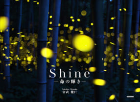 宮武健仁写真集『Shine -命の輝き-』