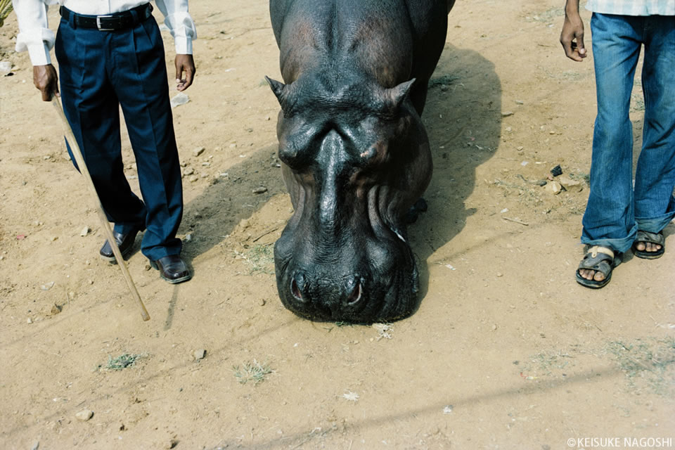 名越啓介写真展「MR.INDIA」