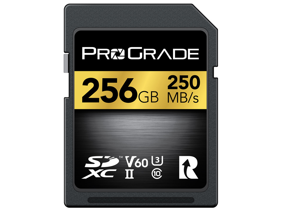 ProGrade Digital SDXC UHS-II V60 250R メモリーカード