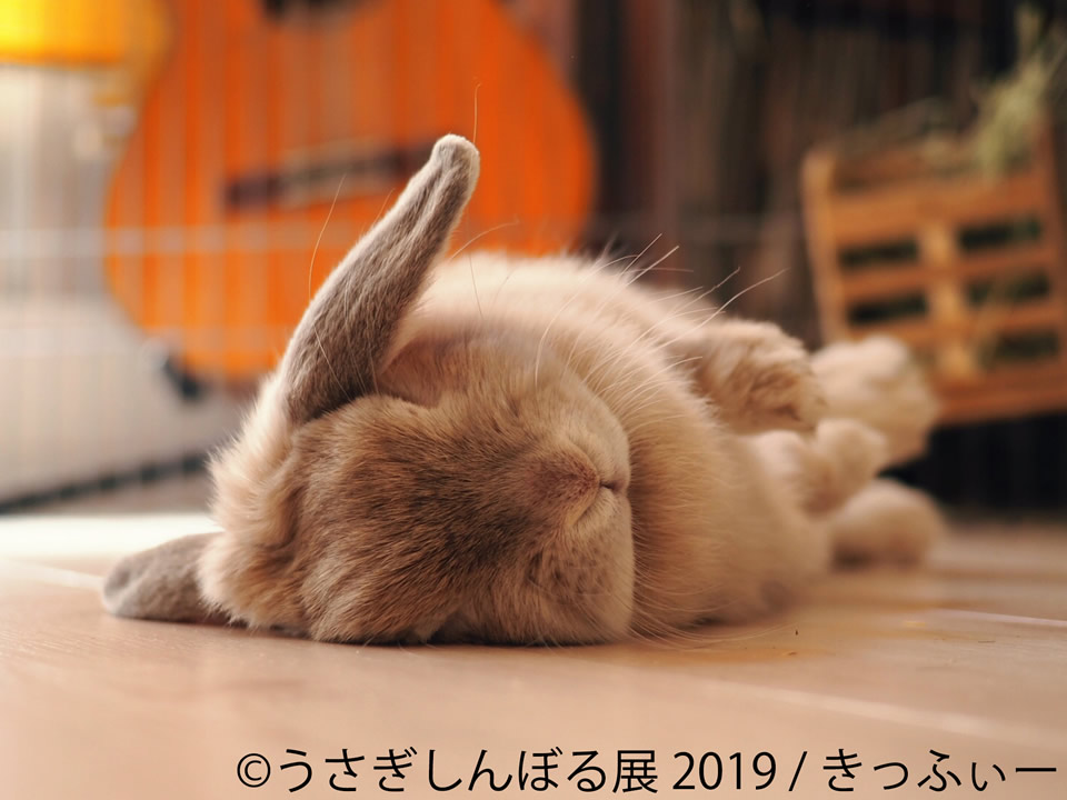 うさぎしんぼる展2019