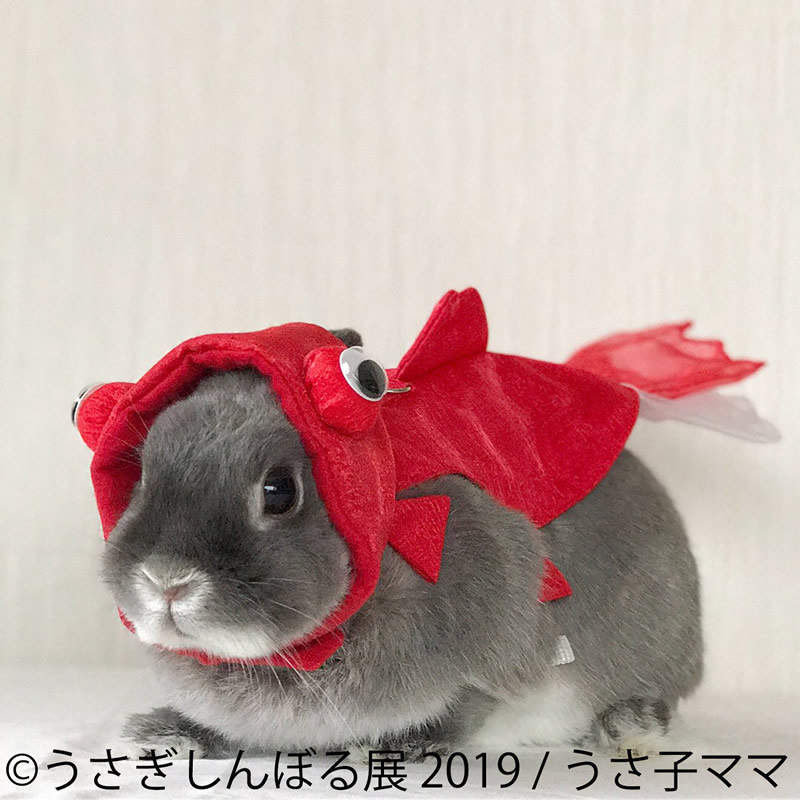 うさぎしんぼる展2019