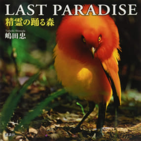 誰も見たことがない鳥たちのダンスを捉えた 嶋田忠写真集『LAST PARADISE 精霊の踊る森』