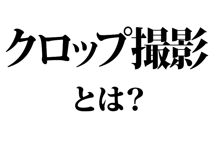 今さら聞けないカメラ 写真用語 クロップ撮影 って何 Capa Camera Web