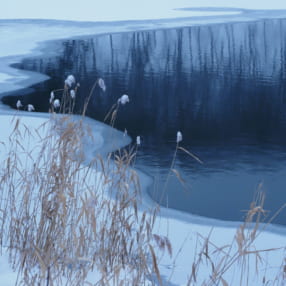 風景写真家・萩原史郎さんの3ステップRAW現像術!  雪景色は冬らしい冷たい色とメリハリを強調するのがコツ
