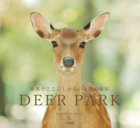 佐藤和斗『DEER PARK 世界でここにしかない奇跡の場所』