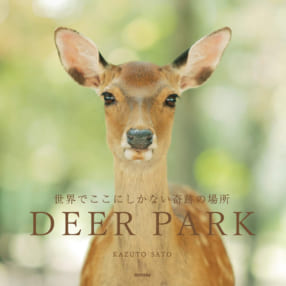 ずっと見ていたい、奈良公園に棲むシカ達の写真集『DEER PARK 世界でここにしかない奇跡の場所』