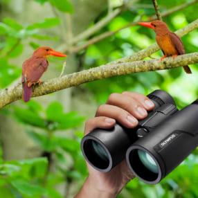 野鳥撮影に役立つ双眼鏡はコレ！ 双眼鏡選びのポイントとオススメモデル