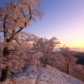 風景写真家・宮武健仁さんの3ステップRAW現像術! 朝日に染まる雪景色は空の階調と霧氷の輝きを引き出すのがコツ