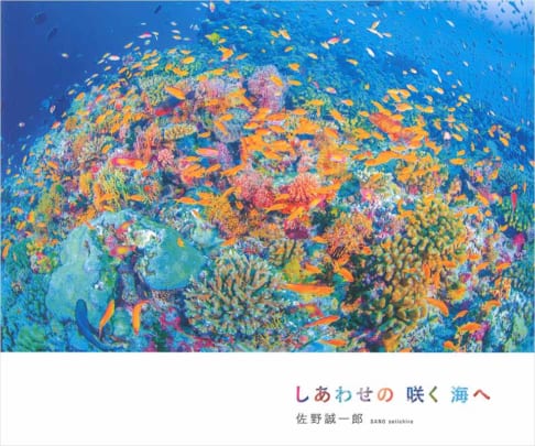 魚たちが狂喜乱舞する魔法の時間――「朝マズメ」の科学と、激変する2026年の日本沿岸で仕留める極意