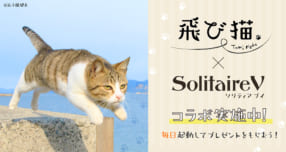 飛び猫×ソリティアV