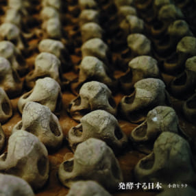 小倉ヒラク写真集『発酵する日本』