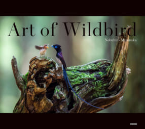 水中伸浩写真集『Art of Wildbird』