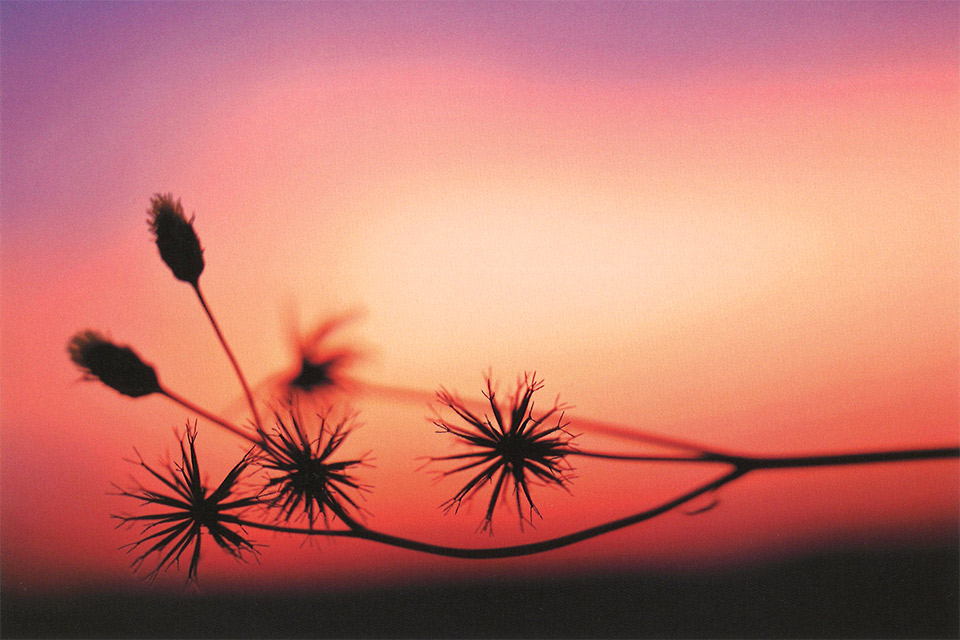 はるひ写真集『癒しの雫』