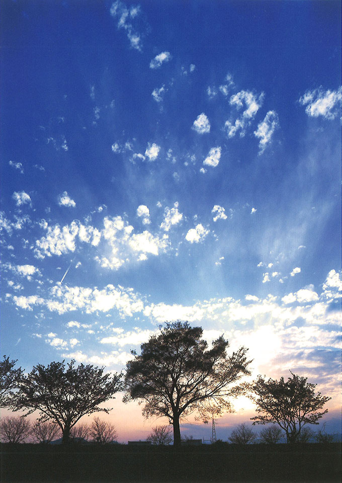 はるひ写真集『癒しの雫』