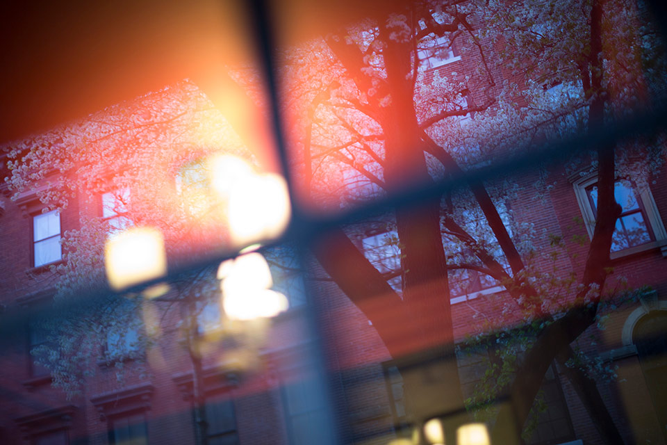 井津由美子『Saul Leiter : In Stillness』