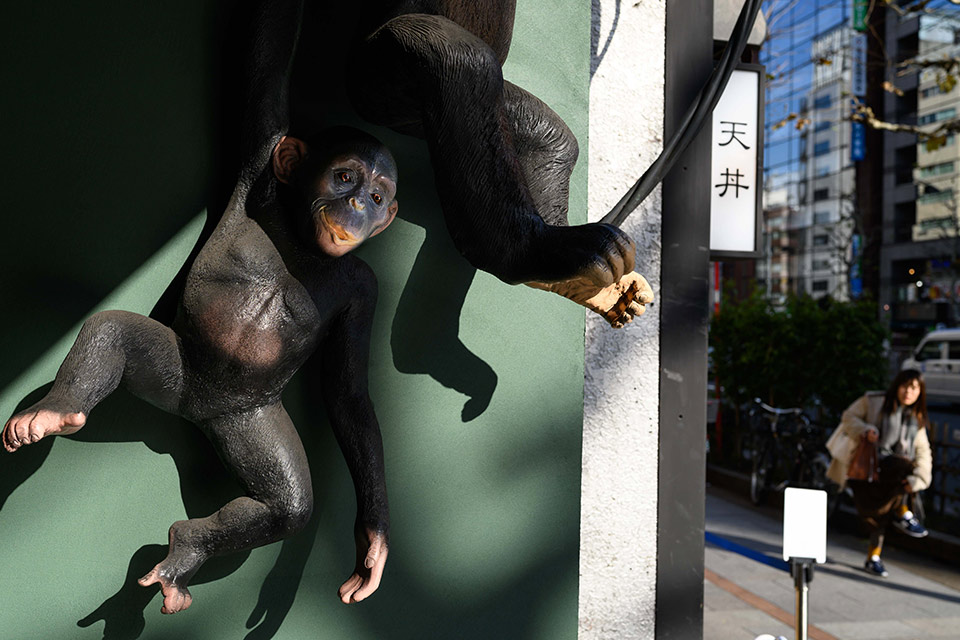 熊切大輔写真展「東京動物園 ナイトサファリ」