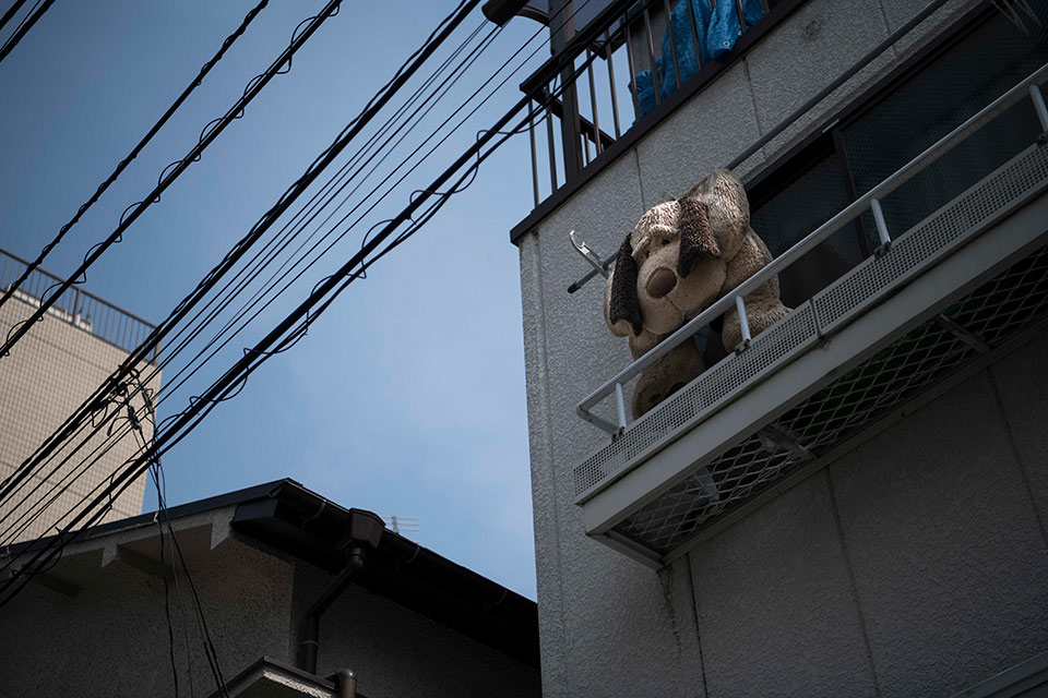 熊切大輔写真展「東京動物園 ナイトサファリ」