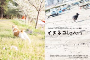 チャリティー公募展「イヌネコLovers」