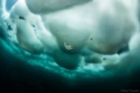 古見きゅう写真展「JAPAN’S SEA」