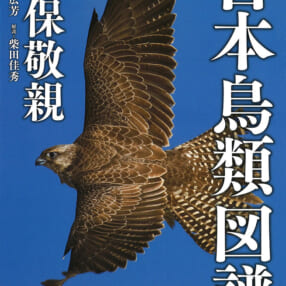 野鳥たちの写真が存在感を持って迫る、好奇心を刺激する一冊『日本鳥類図譜』