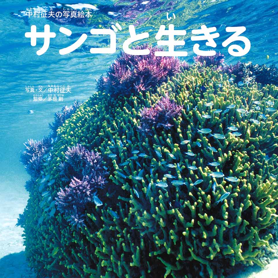 中村征夫の写真絵本『サンゴと生きる』