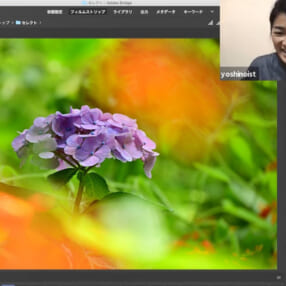 家にいながらプロ写真家の講評が受けられる「ニコンカレッジ」オンライン講座がスタート