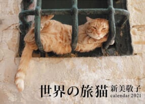 新美敬子『世界の旅猫カレンダー2021』