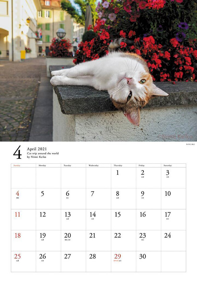 新美敬子『世界の旅猫カレンダー2021』