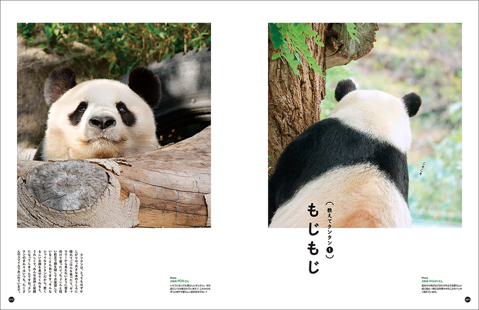 写真集『神戸市立王子動物園のシャイなパンダ タンタン』