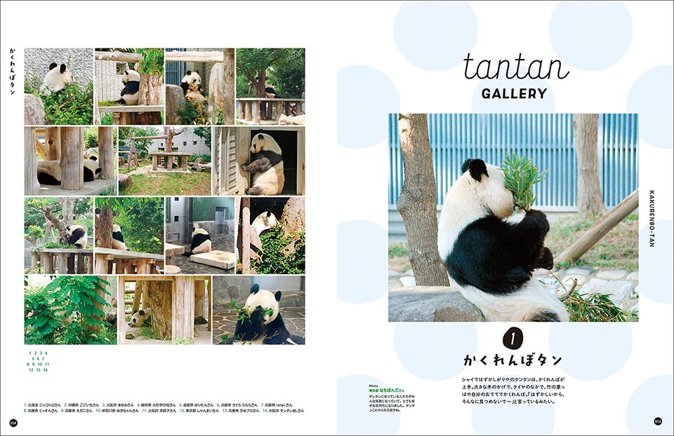 写真集『神戸市立王子動物園のシャイなパンダ タンタン』